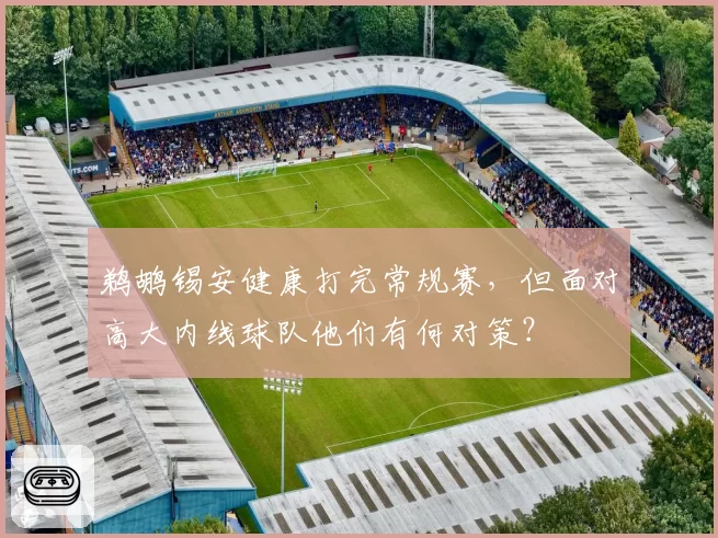 鹈鹕锡安健康打完常规赛，但面对高大内线球队他们有何对策？