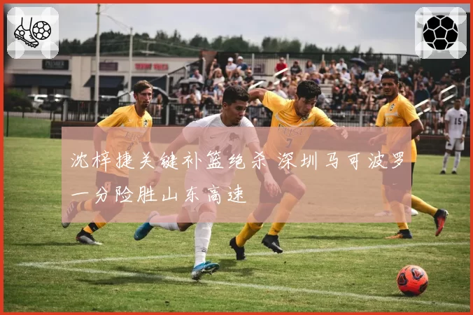 沈梓捷关键补篮绝杀 深圳马可波罗一分险胜山东高速